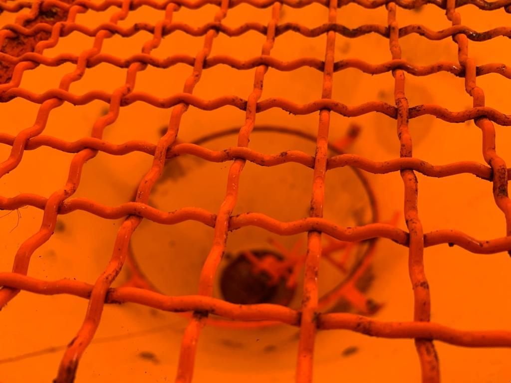 Düngerstreuer tip Sonstige Pronar PS-250, Gebrauchtmaschine in Wierden (Poză 9)