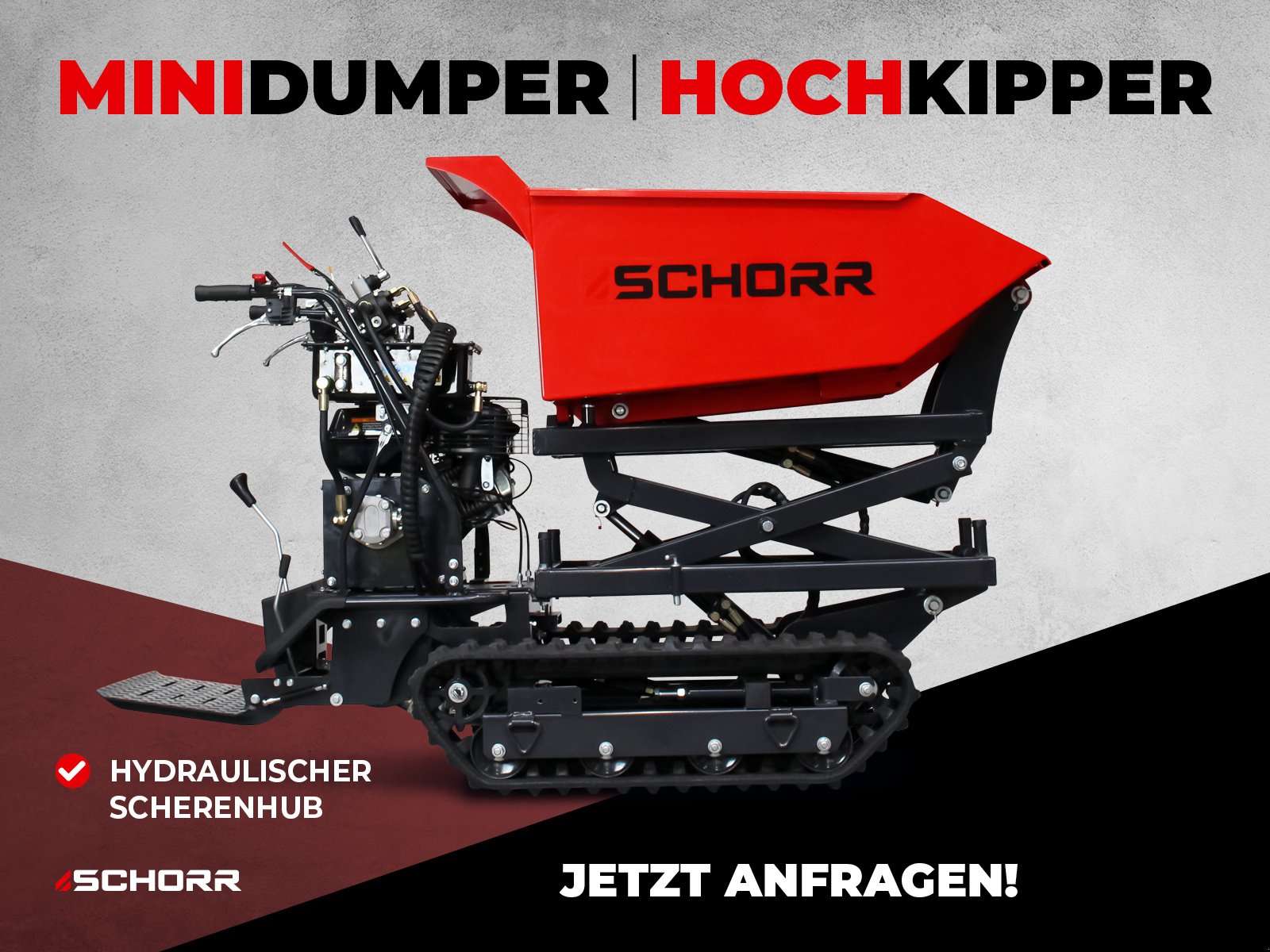 Dumper des Typs Schorr Minidumper RR500DHKAH PRO [Hochkipper] 500kg PRO Raupendumper Mulde Benzindumper Dumper, Neumaschine in Schüttorf (Bild 1)