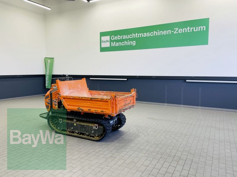 Dumper des Typs Sonstige KETTENDUMPER CORMIDI C1600, Gebrauchtmaschine in Manching (Bild 1)