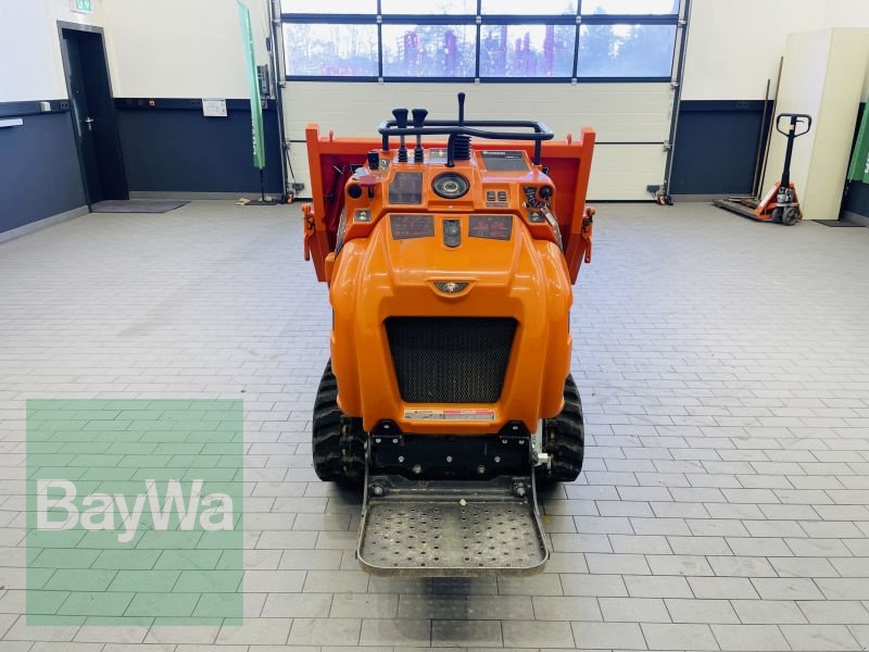 Dumper des Typs Sonstige KETTENDUMPER CORMIDI C1600, Gebrauchtmaschine in Manching (Bild 7)