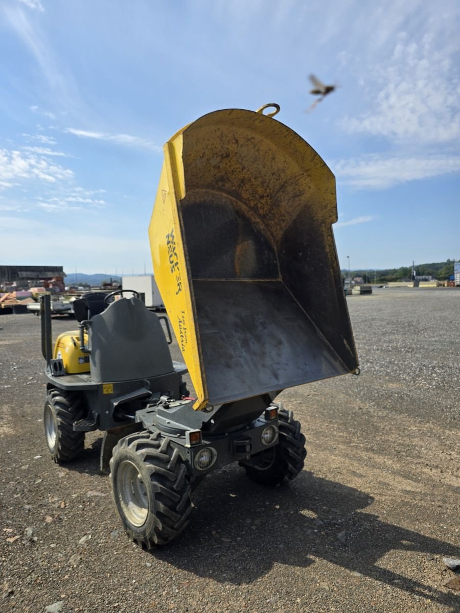 Dumper Türe ait Wacker Neuson 2001, Gebrauchtmaschine içinde Gabersdorf (resim 20)