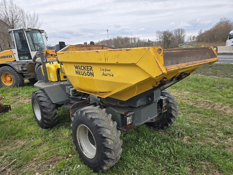Dumper of the type Wacker Neuson 5001, Gebrauchtmaschine in Gabersdorf (Picture 13)