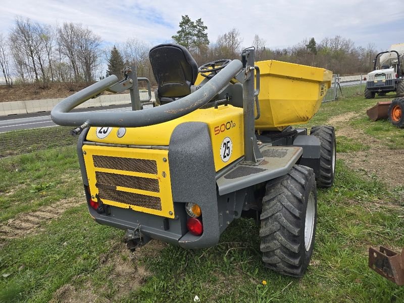 Dumper of the type Wacker Neuson 5001, Gebrauchtmaschine in Gabersdorf (Picture 7)