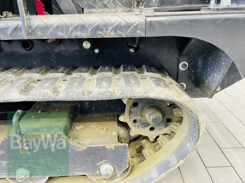 Dumper van het type Yanmar DUMPER C12 RB, Gebrauchtmaschine in Manching (Foto 12)