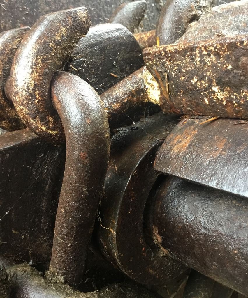 Dungstreuer typu Sonstige EV150, Gebrauchtmaschine v les hayons (Obrázek 6)