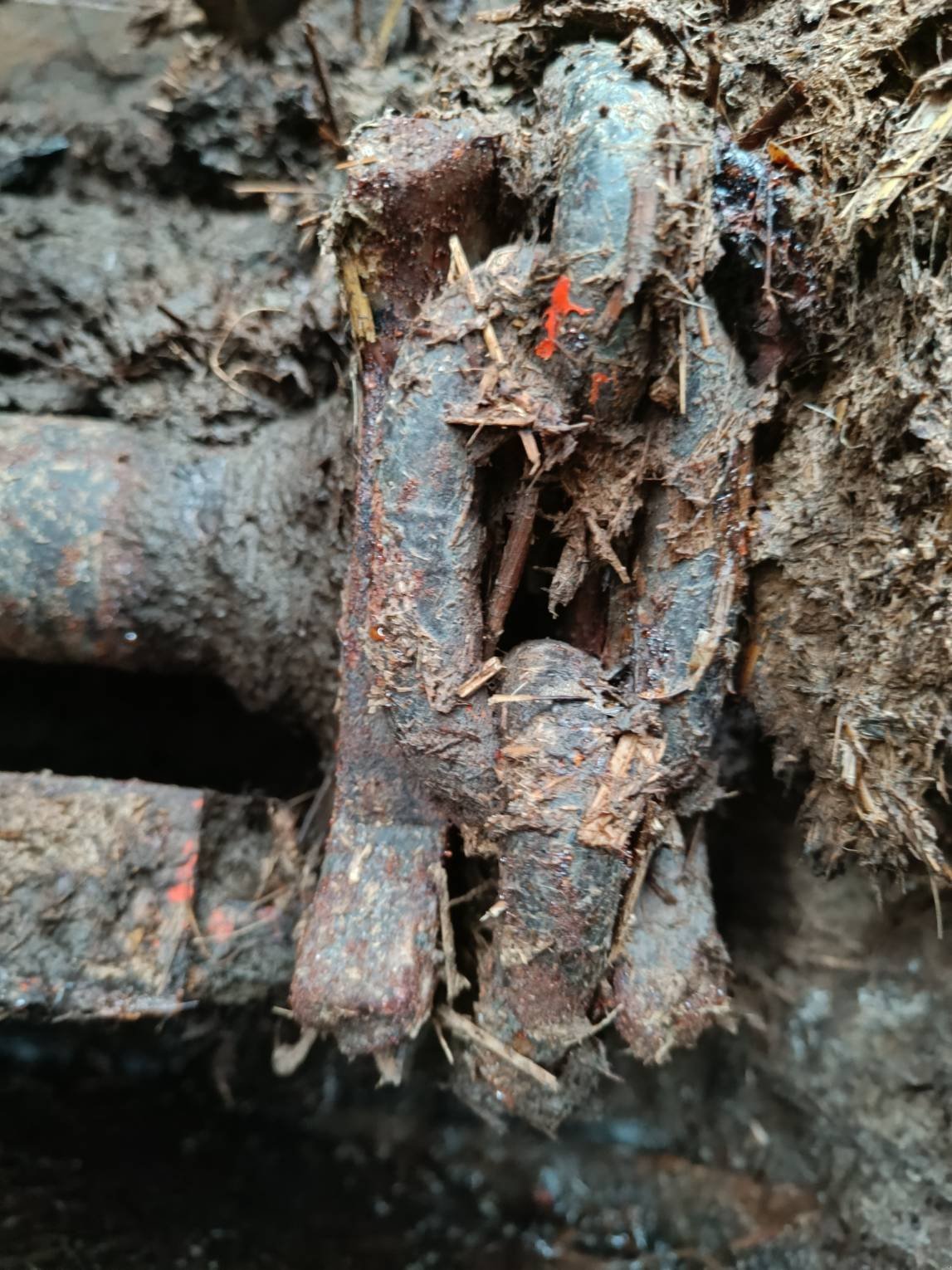 Dungstreuer типа Sonstige RAFAL 3400, Gebrauchtmaschine в Le Horps (Фотография 9)