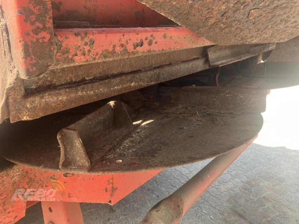 Dungstreuer typu Strautmann VS 2003, Gebrauchtmaschine v Albersdorf (Obrázek 4)