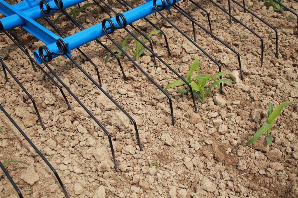 Egge tipa Carré Sarclerse Control 12, Gebrauchtmaschine u Hadsund (Slika 17)