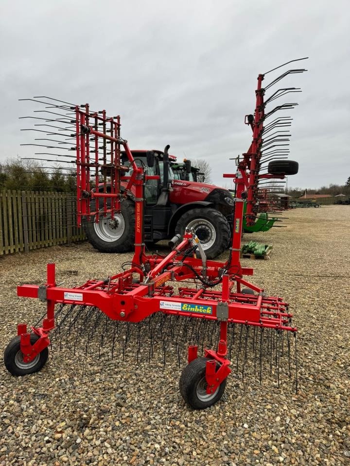 Egge van het type Einböck 6 M strigle, Gebrauchtmaschine in Bramming (Foto 1)