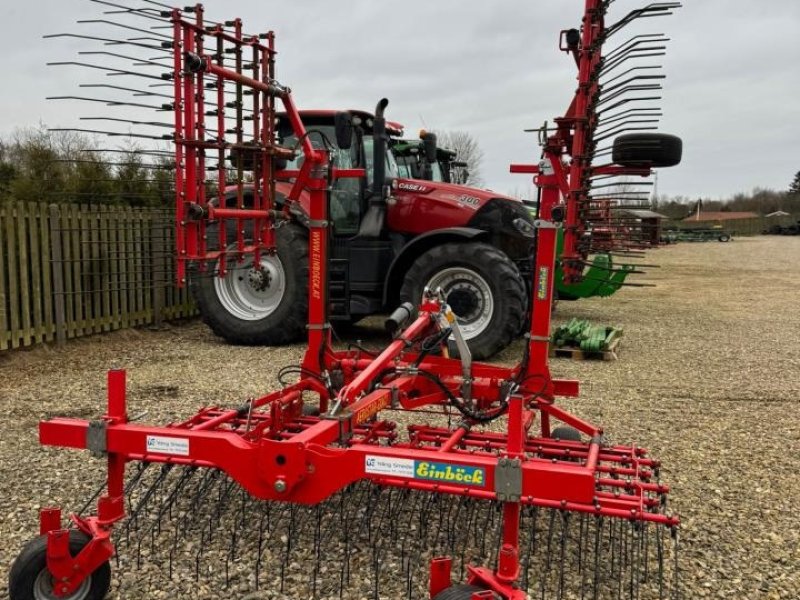 Egge van het type Einböck 6 M strigle, Gebrauchtmaschine in Bramming (Foto 1)