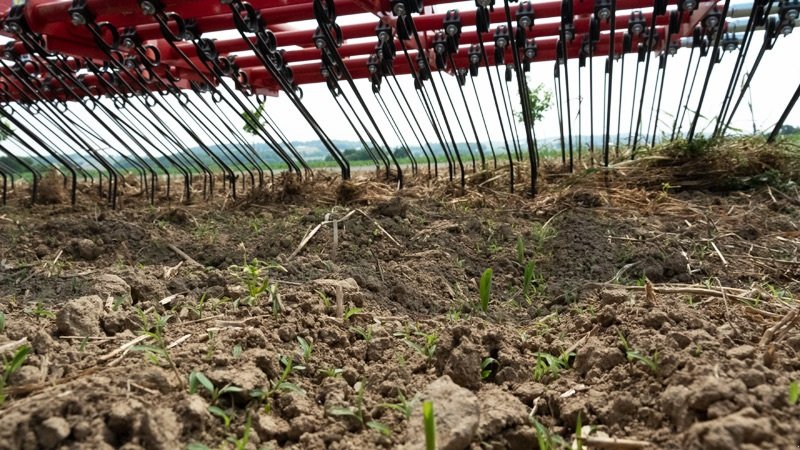 Egge des Typs Einböck Aerostar 150, Gebrauchtmaschine in Horsens (Bild 3)