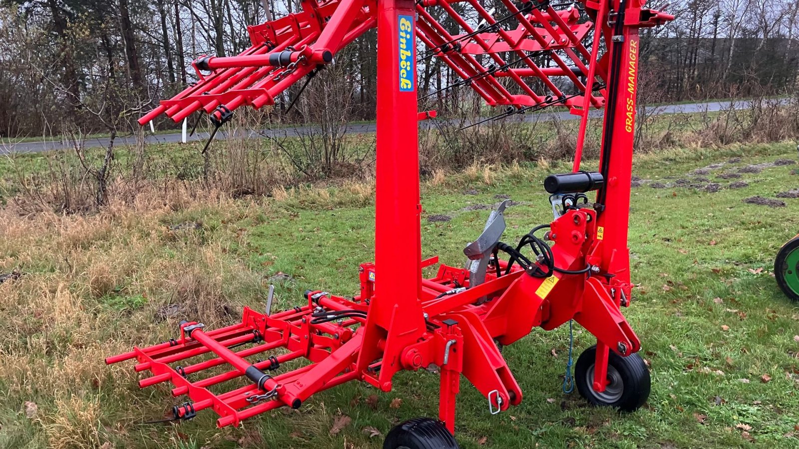 Egge of the type Einböck Grass-Manager 600 SR Halmstrigle, Gebrauchtmaschine in Roskilde (Picture 2)