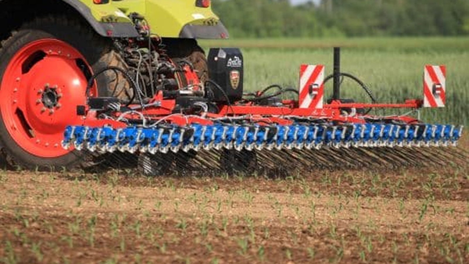 Egge du type Hatzenbichler Locator ukrudtsstrigle 6 Meter, Gebrauchtmaschine en Sabro (Photo 10)
