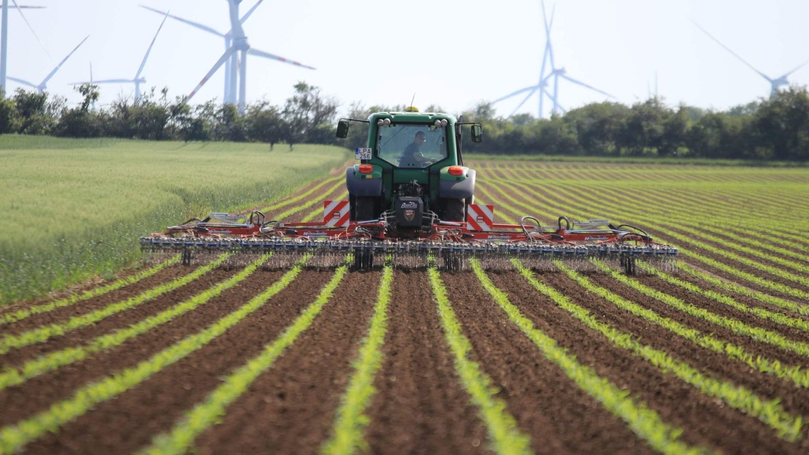 Egge du type Hatzenbichler Locator ukrudtsstrigle 6 Meter, Gebrauchtmaschine en Sabro (Photo 9)
