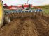 Egge du type Hatzenbichler Locator ukrudtsstrigle 6 Meter, Gebrauchtmaschine en Sabro (Photo 7)