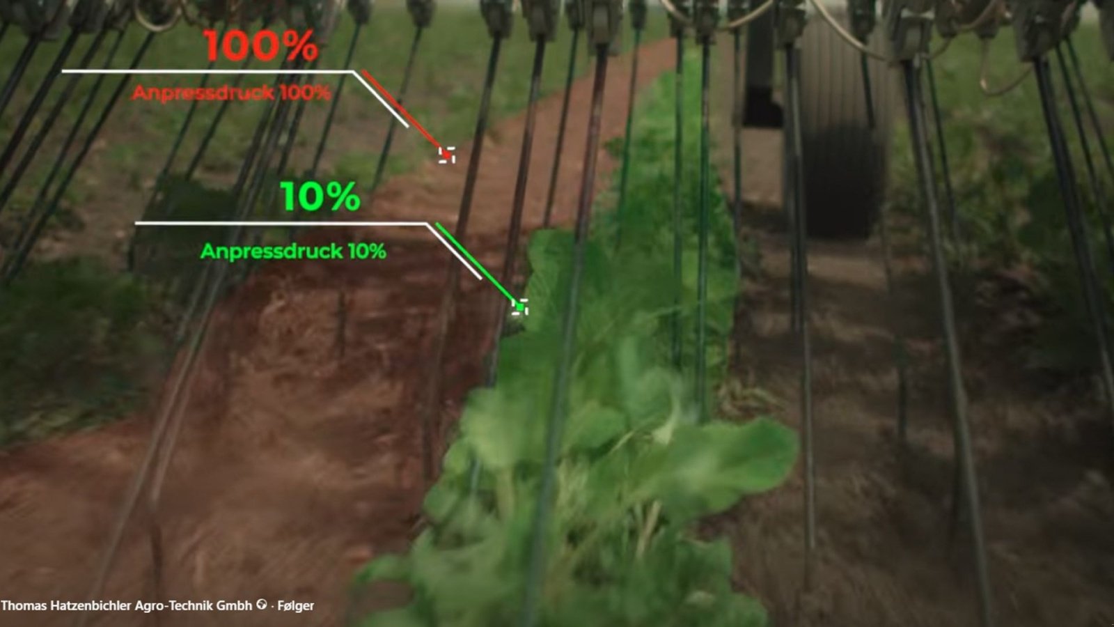 Egge du type Hatzenbichler Locator ukrudtsstrigle 6 Meter, Gebrauchtmaschine en Sabro (Photo 4)