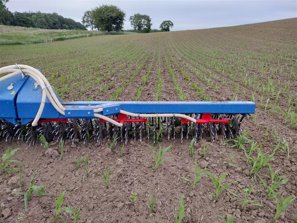 Egge des Typs Sonstige 12 mtr. Med frøudstyr, Gebrauchtmaschine in Haarby (Bild 2)