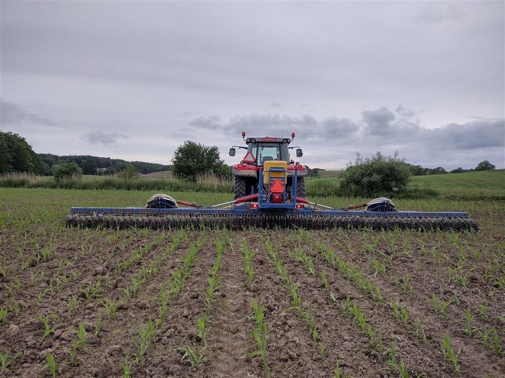 Egge des Typs Sonstige 12 mtr. Med frøudstyr, Gebrauchtmaschine in Haarby (Bild 3)