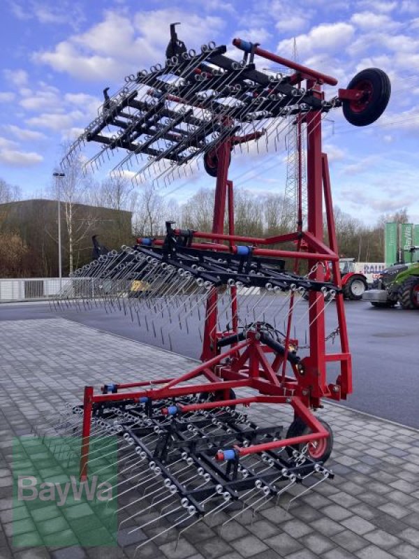 Egge tipa Sonstige EXPOM ACKERSTRIEGEL 9M, Gebrauchtmaschine u Großweitzschen  (Slika 3)