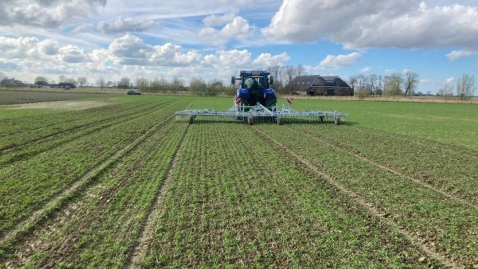 Egge van het type Zocon Weeder 12 m, Gebrauchtmaschine in Hadsund (Foto 4)