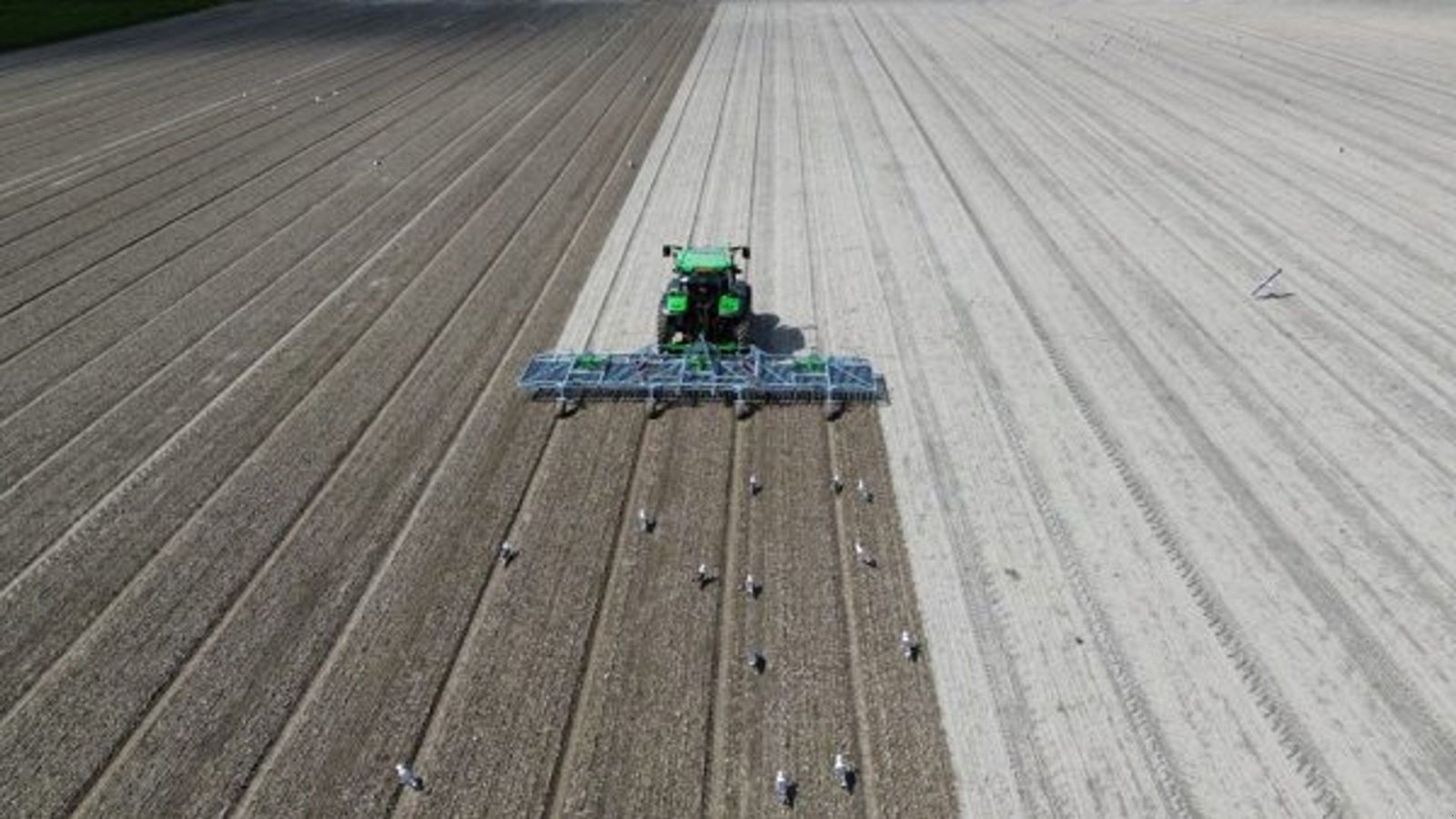 Egge van het type Zocon Weeder 6 m, Gebrauchtmaschine in Hadsund (Foto 5)