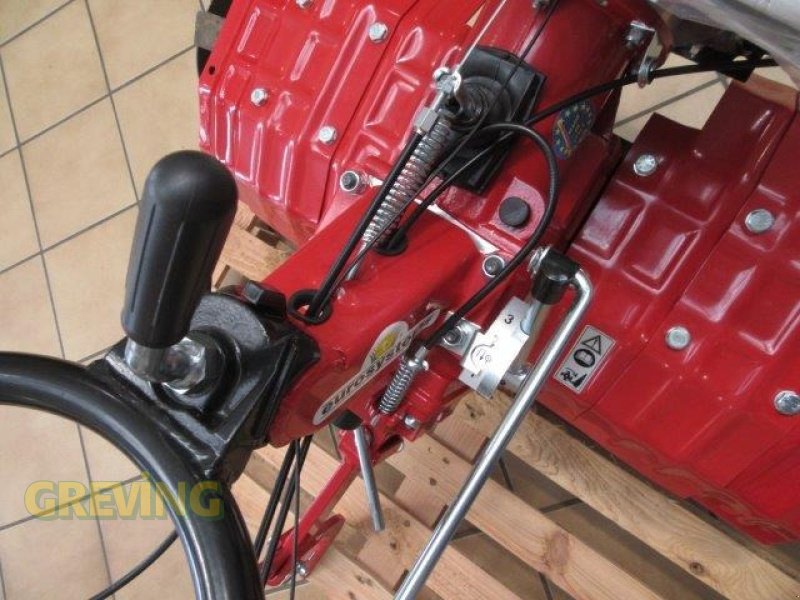 Einachstraktor Türe ait Eurosystems Euro102, Vorführmaschine içinde Wesseling-Berzdorf (resim 2)