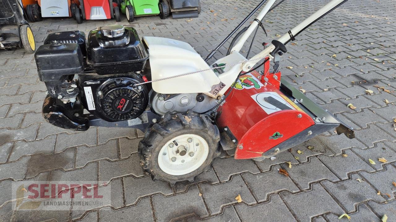 Einachstraktor typu Herkules SF 600 BODENFRÄSE, Neumaschine v Groß-Umstadt (Obrázek 3)