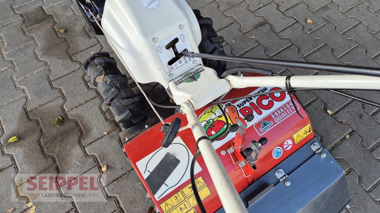 Einachstraktor typu Herkules SF 600 BODENFRÄSE, Neumaschine v Groß-Umstadt (Obrázek 4)