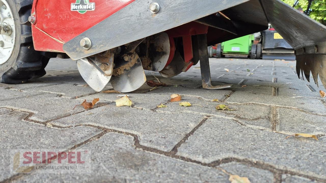 Einachstraktor typu Herkules SF 600 BODENFRÄSE, Neumaschine v Groß-Umstadt (Obrázek 5)