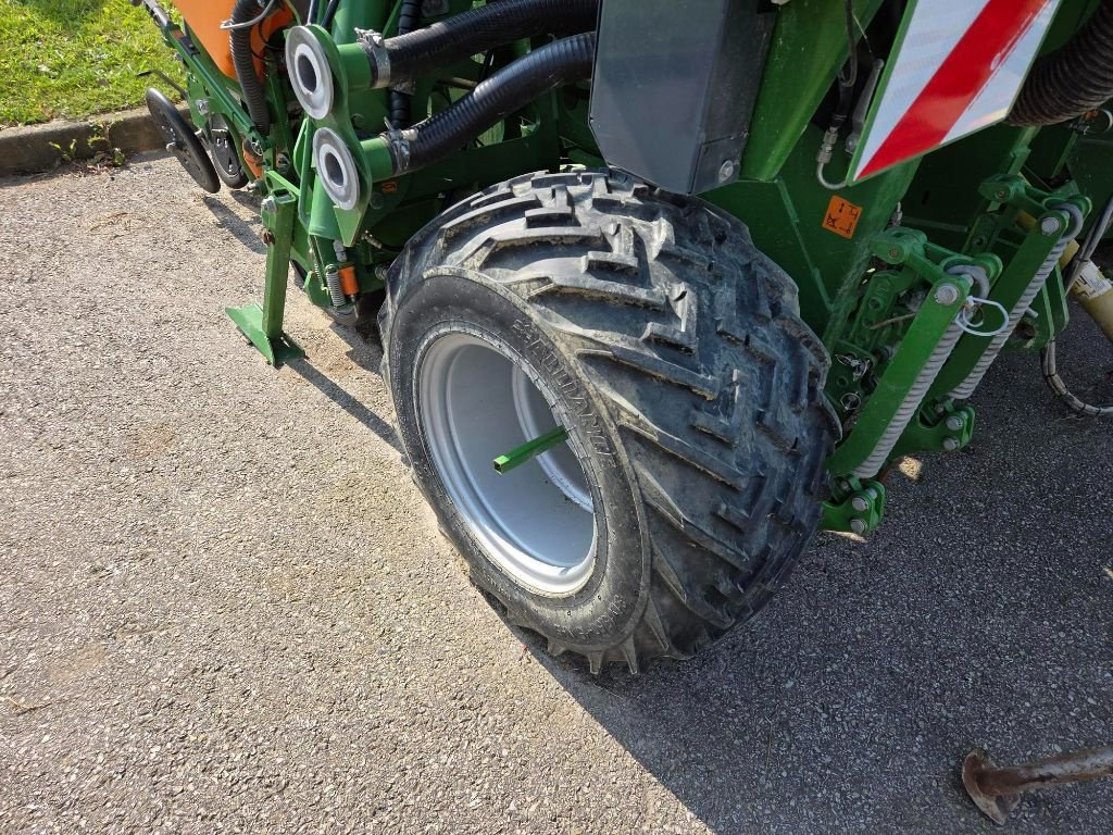 Einzelkornsägerät of the type Amazone ED 6000-2  Révisé, Gebrauchtmaschine in ATHIS (Picture 3)