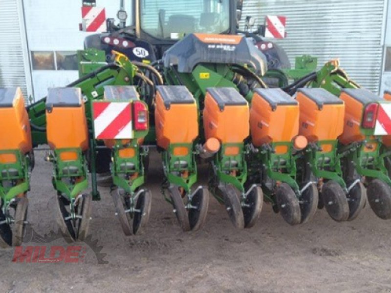 Einzelkornsägerät типа Amazone ED 6000-2, Gebrauchtmaschine в Elsteraue-Bornitz