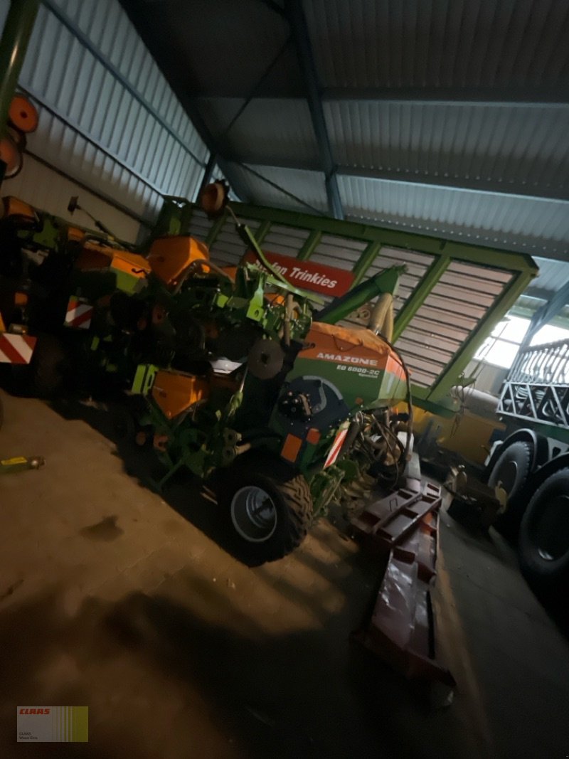 Einzelkornsägerät tip Amazone ED 6000-2C Special, 8-reiher, Gebrauchtmaschine in Neerstedt (Poză 4)