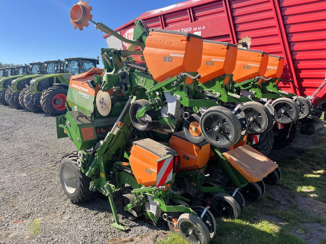 Einzelkornsägerät tip Amazone ED 6000-2C Special, 8-reiher, Gebrauchtmaschine in Neerstedt (Poză 14)