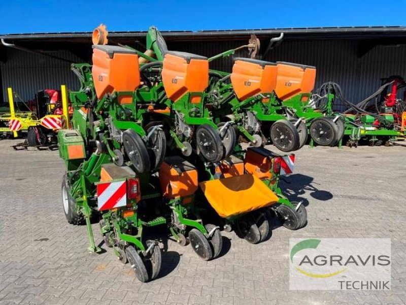 Einzelkornsägerät des Typs Amazone ED 6000-2C, Gebrauchtmaschine in Meppen (Bild 4)