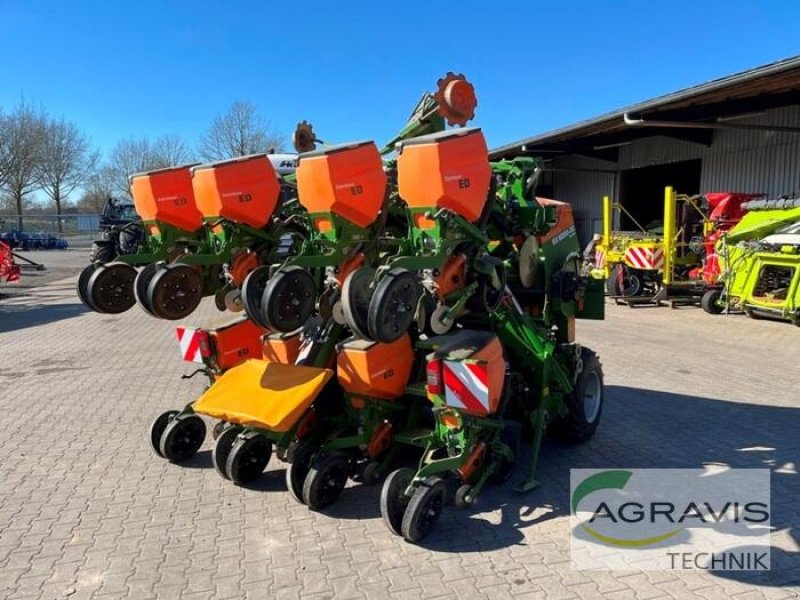 Einzelkornsägerät des Typs Amazone ED 6000-2C, Gebrauchtmaschine in Meppen (Bild 3)