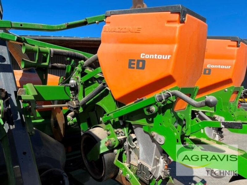 Einzelkornsägerät des Typs Amazone ED 6000-2C, Gebrauchtmaschine in Meppen (Bild 14)