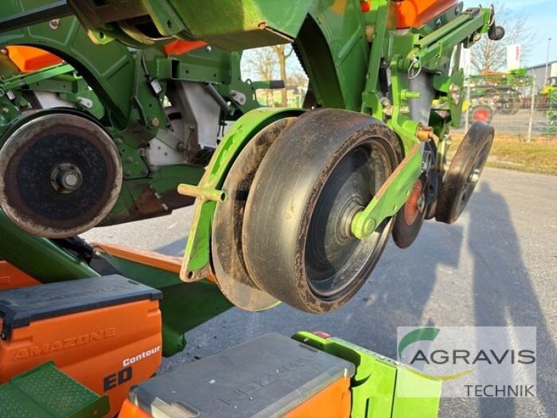 Einzelkornsägerät za tip Amazone ED 6000-2C, Gebrauchtmaschine u Meppen (Slika 8)