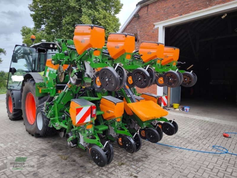 Amazone ED 6000-2c, Gebrauchtmaschine, Rok výroby: 2016, Moto-hodiny: 2600 Hodin (Obrázek 1) Einzelkornsägerät typu Amazone ED 6000-2c, Gebrauchtmaschine v Rhede / Brual (Obrázek 1)