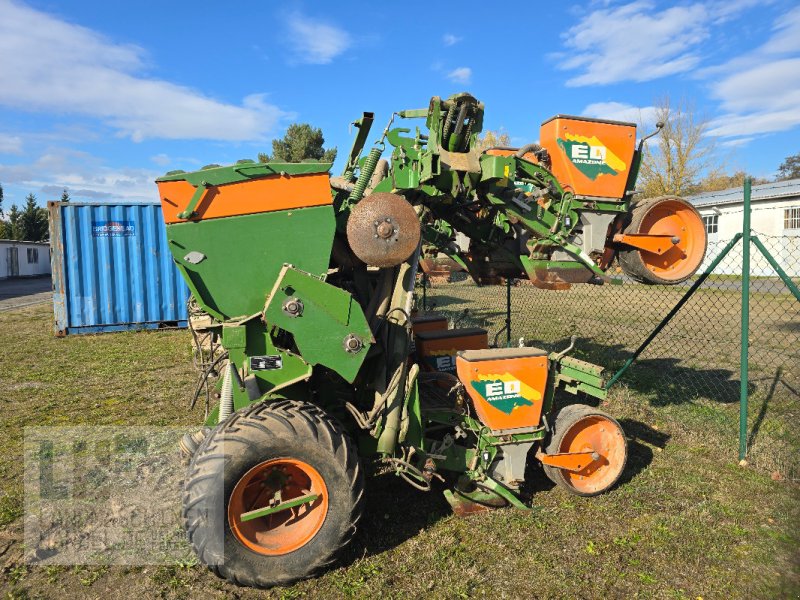 Einzelkornsägerät des Typs Amazone ED 601 K, Gebrauchtmaschine in Burg/Spreewald (Bild 1)