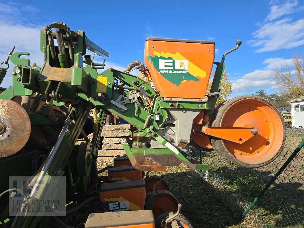 Einzelkornsägerät tip Amazone ED 601 K, Gebrauchtmaschine in Burg/Spreewald (Poză 7)