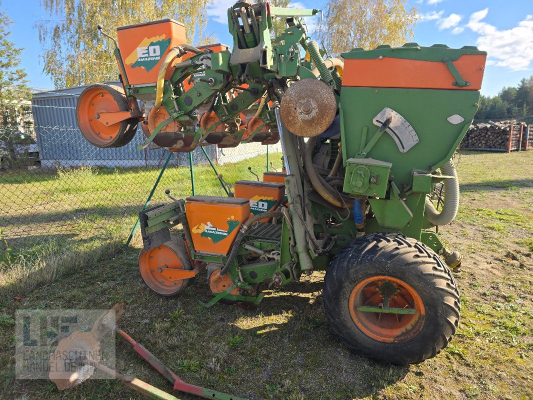 Einzelkornsägerät типа Amazone ED 601 K, Gebrauchtmaschine в Burg/Spreewald (Фотография 1)