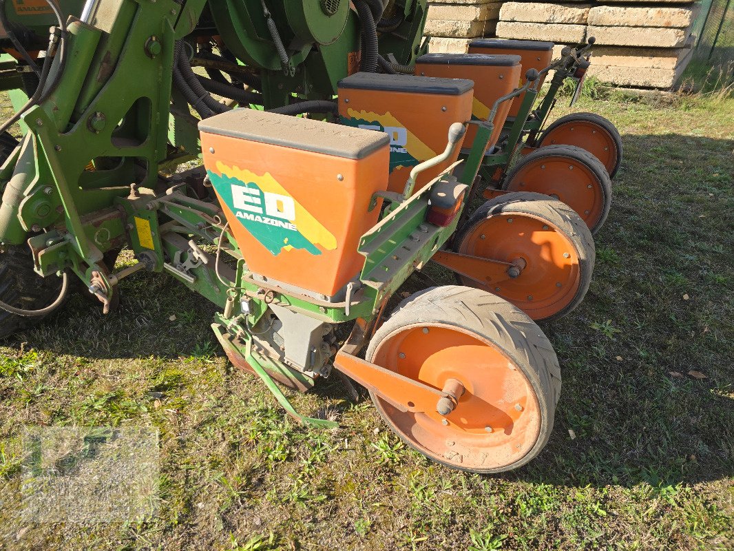 Einzelkornsägerät типа Amazone ED 601 K, Gebrauchtmaschine в Burg/Spreewald (Фотография 5)