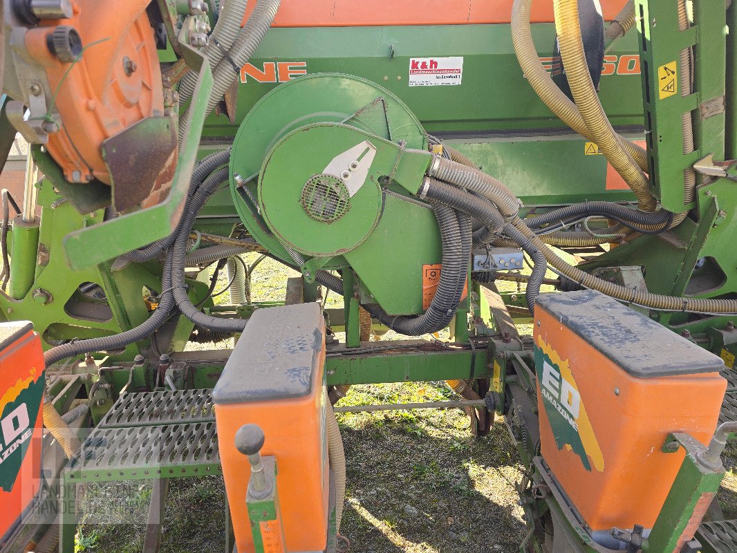 Einzelkornsägerät a típus Amazone ED 601 K, Gebrauchtmaschine ekkor: Burg/Spreewald (Kép 8)