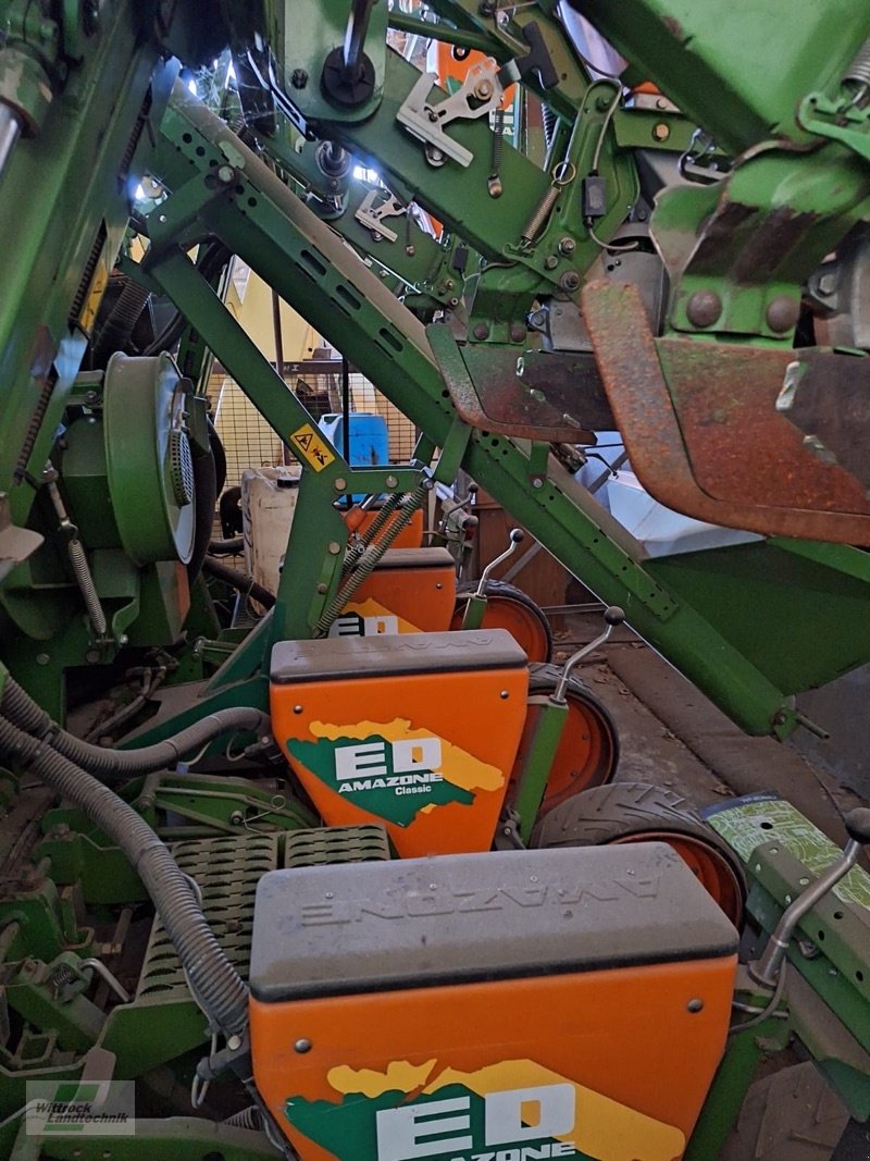 Einzelkornsägerät des Typs Amazone ED 601 K, Gebrauchtmaschine in Rhede / Brual (Bild 2)