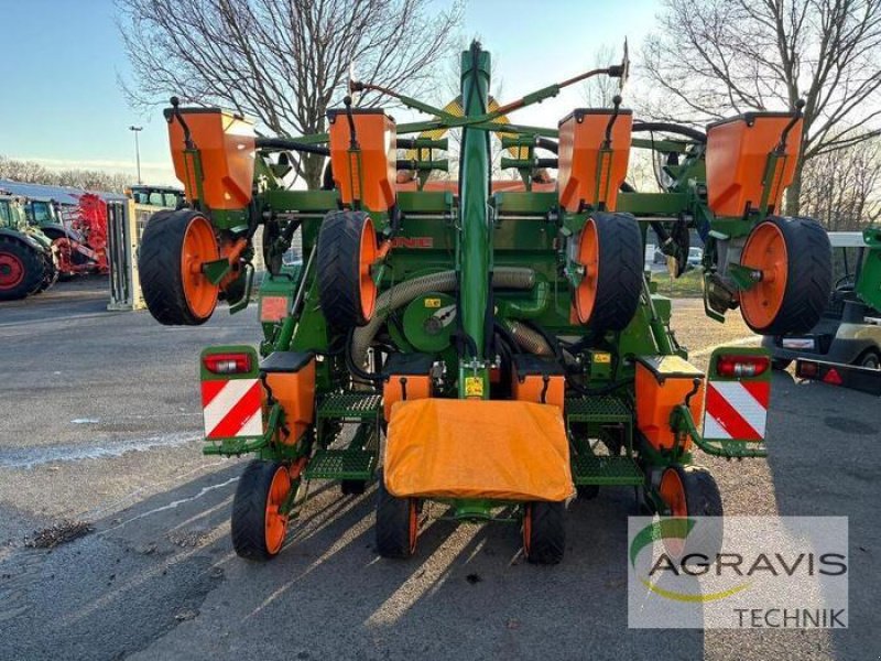 Einzelkornsägerät del tipo Amazone ED 602-K CLASSIC STANDARD, Gebrauchtmaschine en Meppen (Imagen 4)