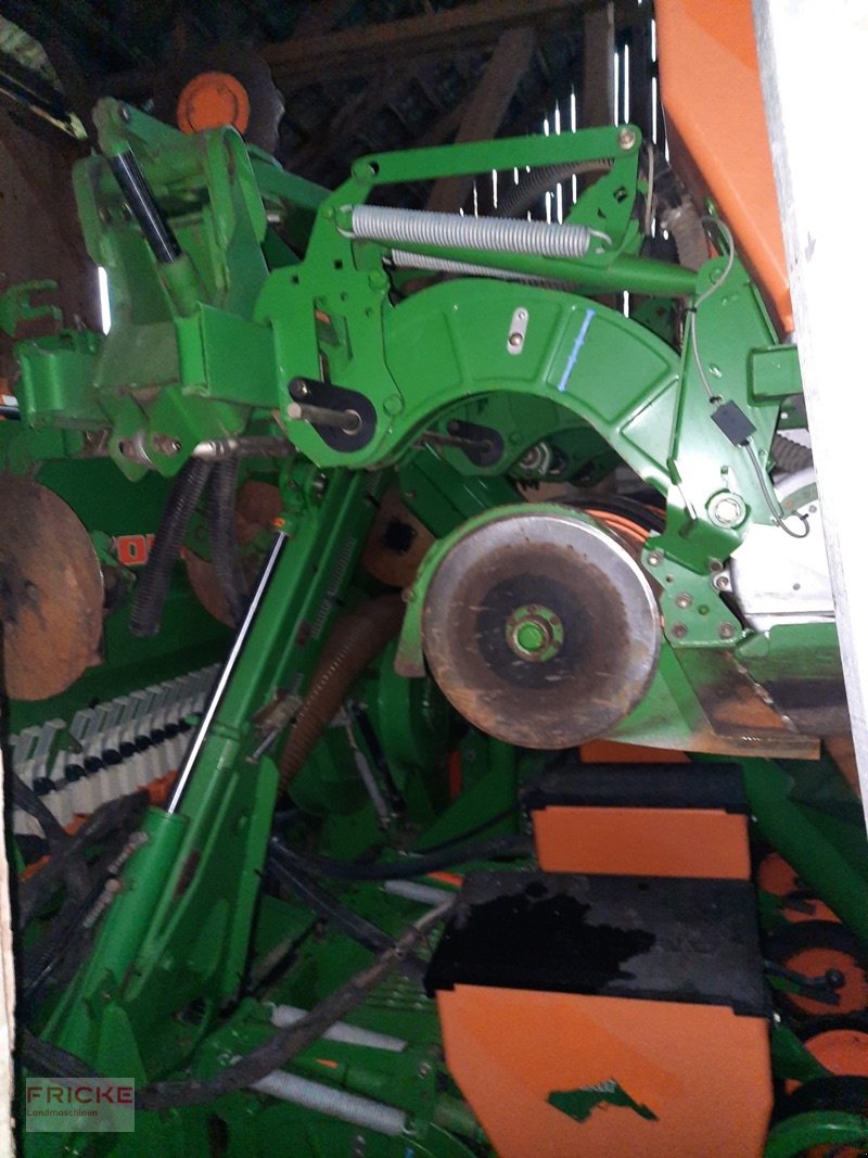 Einzelkornsägerät типа Amazone ED 602 K Contour  **Jahresendralley**, Gebrauchtmaschine в Bockel - Gyhum (Фотография 4)