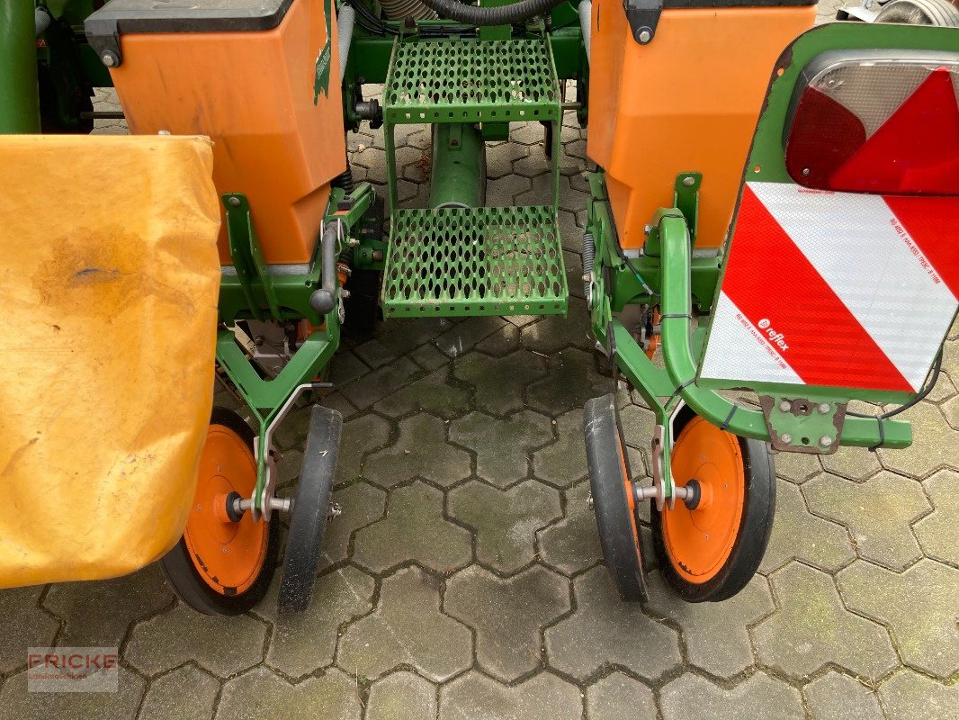 Einzelkornsägerät типа Amazone ED 602 K Contour, Gebrauchtmaschine в Bockel - Gyhum (Фотография 5)