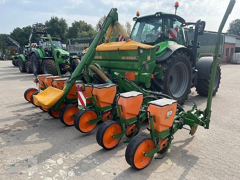 Einzelkornsägerät del tipo Amazone ED 602 K Klassik, Gebrauchtmaschine In Geestland (Immagine 2)