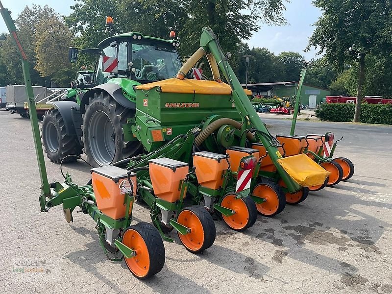 Einzelkornsägerät del tipo Amazone ED 602 K Klassik, Gebrauchtmaschine In Geestland (Immagine 3)