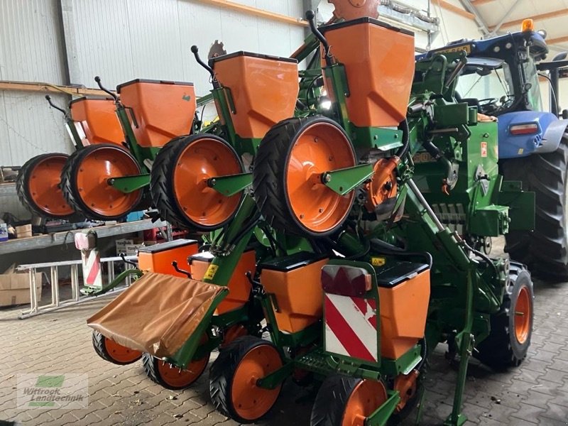 Einzelkornsägerät typu Amazone ED 602 K Pofi, Gebrauchtmaschine v Rhede / Brual (Obrázek 4)